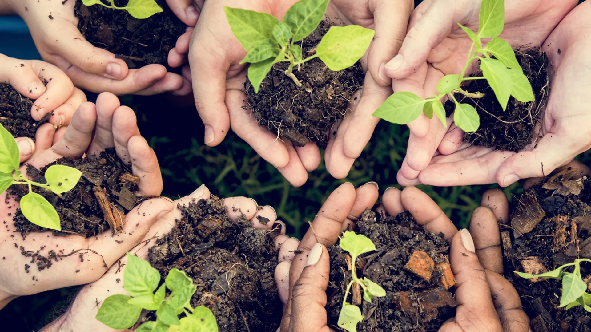 Día Mundial del Medio Ambiente