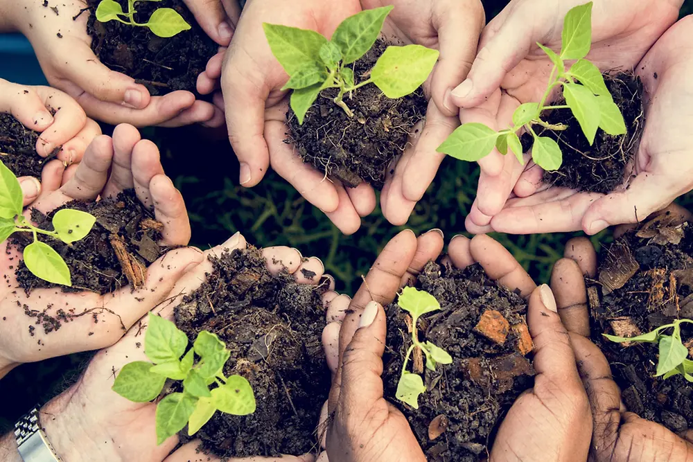 Día Mundial del Medio Ambiente