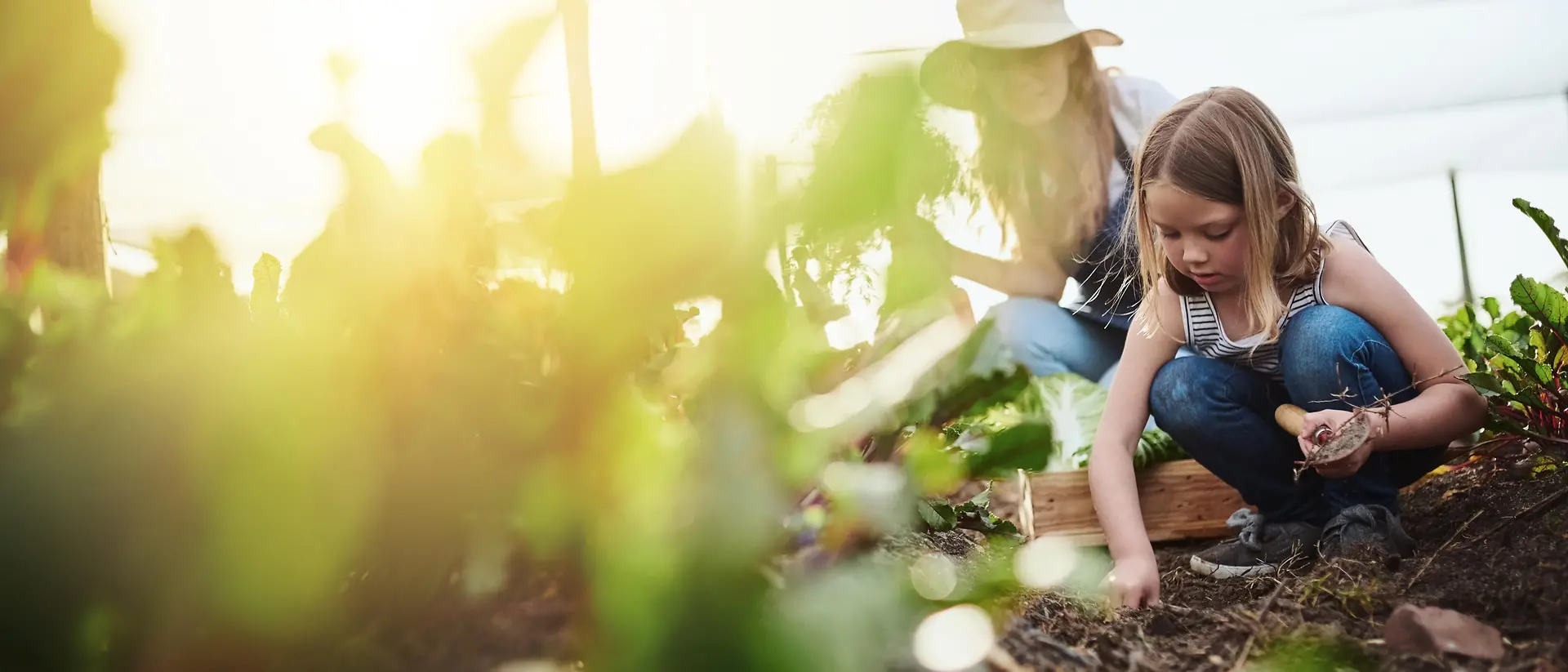 Madre e hija cuidando de un jardín y cosechando verduras