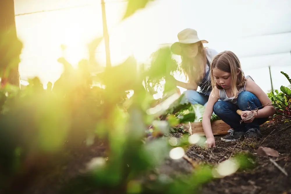 Niña con su madre plantando en un huerto.